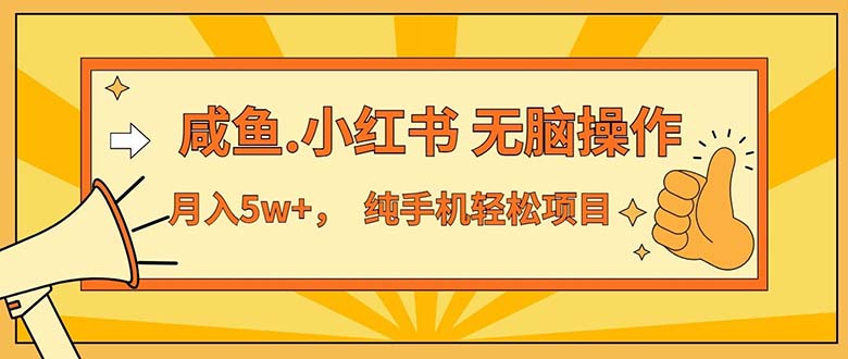 （11524期）2024最赚钱的项目，咸鱼，小红书无脑操作，每单利润500+，轻松月入5万+…-项目网站
