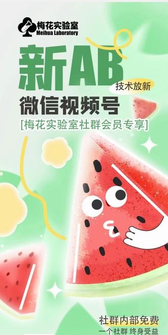 梅花实验室2024年AB技术视频号AB合成破解版-项目网站