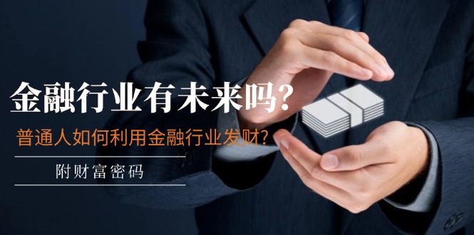 公众号付费文章：金融行业有未来吗？普通人如何利用金融行业发财?(附财富密码)-项目网站