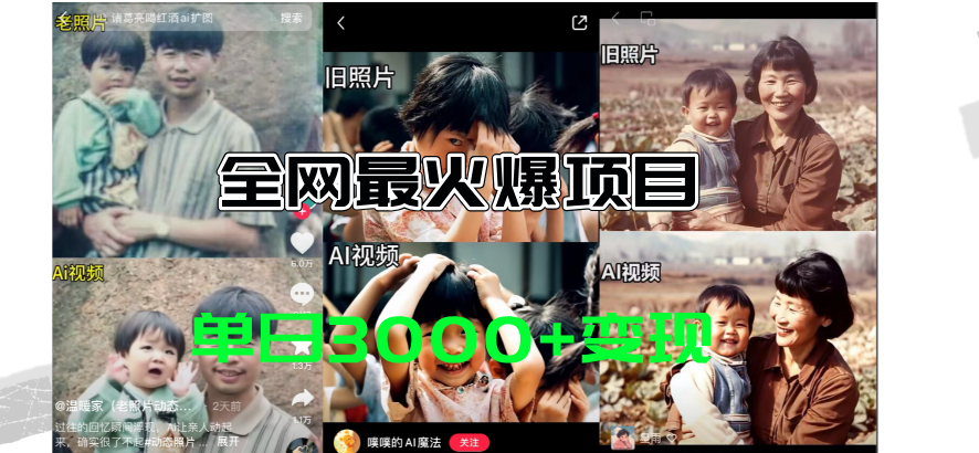 （11546期）全网爆火的AI让老照片动起来教程，蹭热点日赚3000+，内含免费工具一键…-项目网站