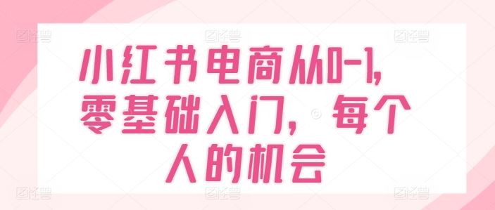 小红书电商从0-1，零基础入门，每个人的机会-项目网站