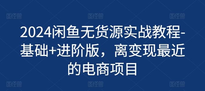 2024闲鱼无货源实战教程-基础+进阶版，离变现最近的电商项目-项目网站