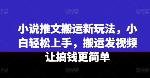 小说推文搬运新玩法，小白轻松上手，搬运发视频让搞钱更简单-项目网站