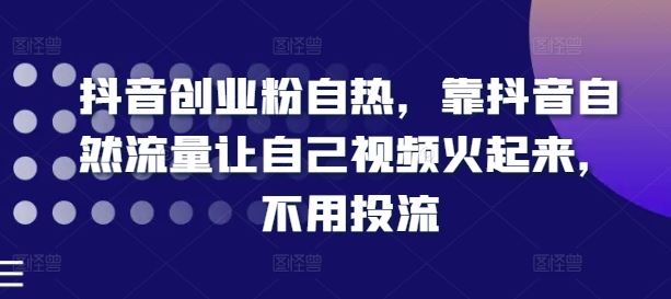 抖音创业粉自热，靠抖音自然流量让自己视频火起来，不用投流-项目网站