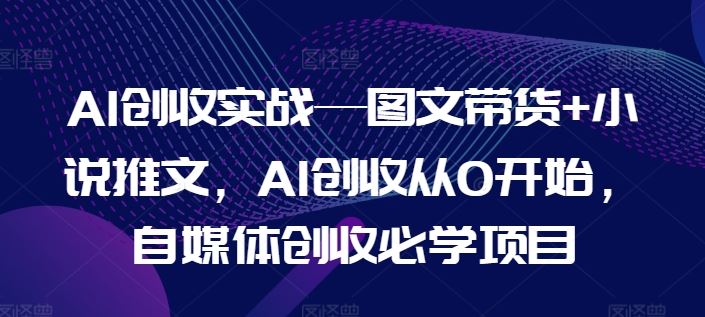 AI创收实战—图文带货+小说推文，AI创收从0开始，自媒体创收必学项目-项目网站