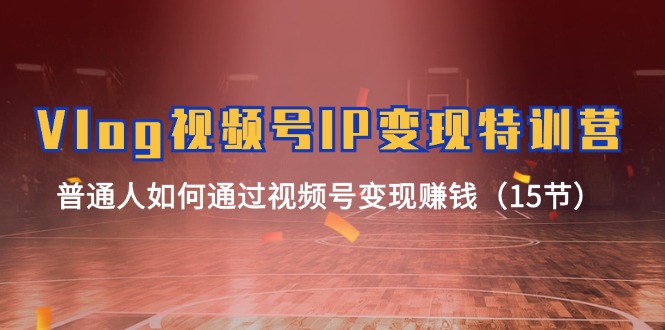 （11654期）Vlog 视频号IP变现特训营，普通人如何通过视频号变现赚钱（15节）-项目网站