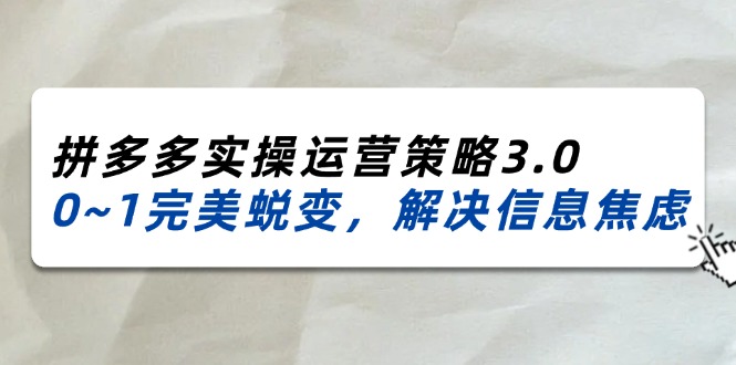 （11658期）2024_2025拼多多实操运营策略3.0，0~1完美蜕变，解决信息焦虑（38节）-项目网站