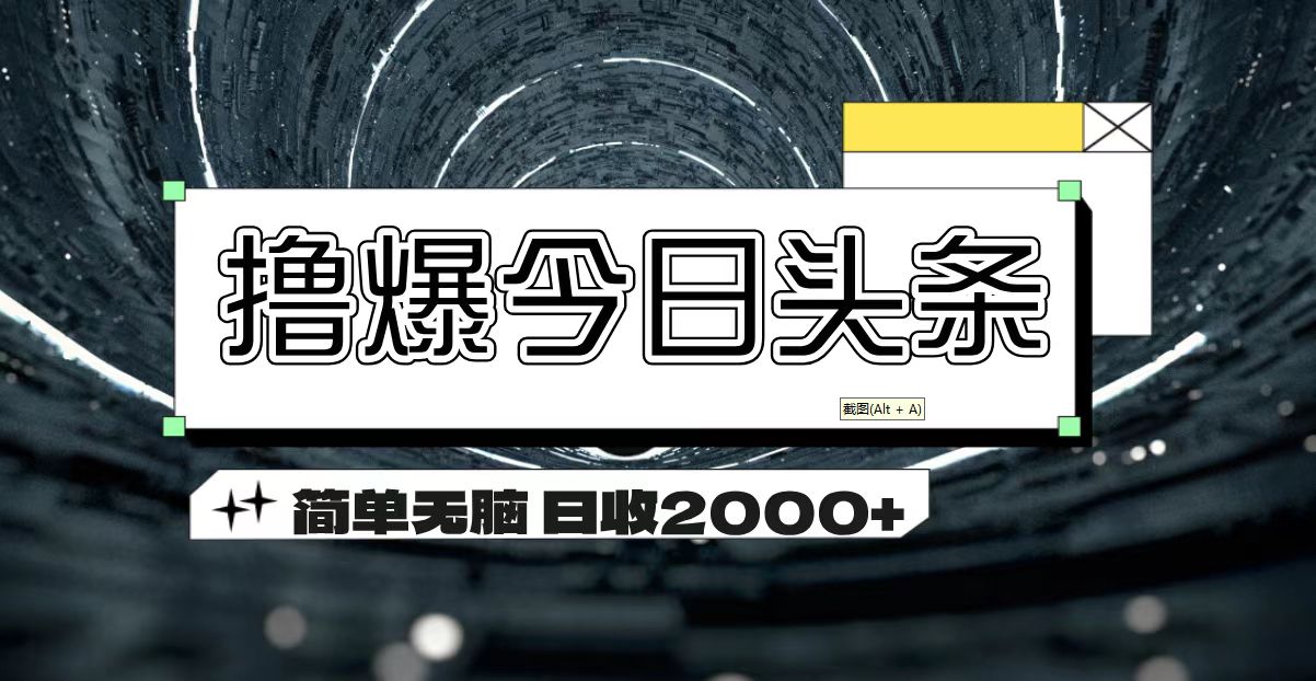 （11665期）撸爆今日头条 简单无脑操作 日收2000+-项目网站