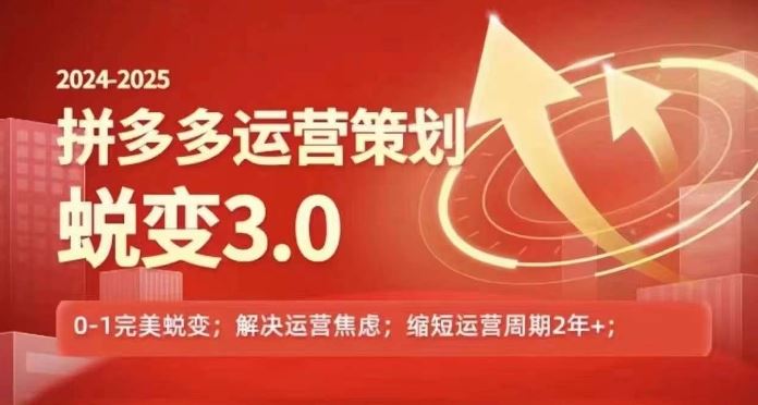 2024-2025拼多多运营策略蜕变3.0，0~1完美蜕变，解决信息焦虑-项目网站