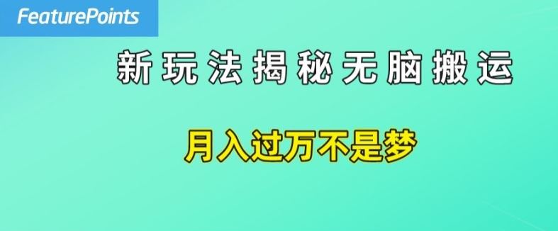 简单操作，每天50美元收入，搬运就是赚钱的秘诀【揭秘】-项目网站
