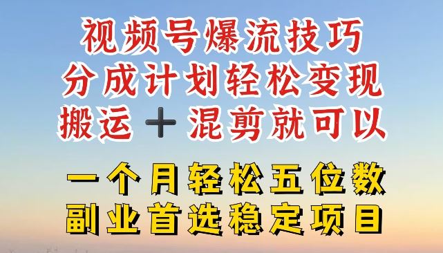 视频号爆流技巧，分成计划轻松变现，搬运 +混剪就可以，一个月轻松五位数稳定项目【揭秘】-项目网站