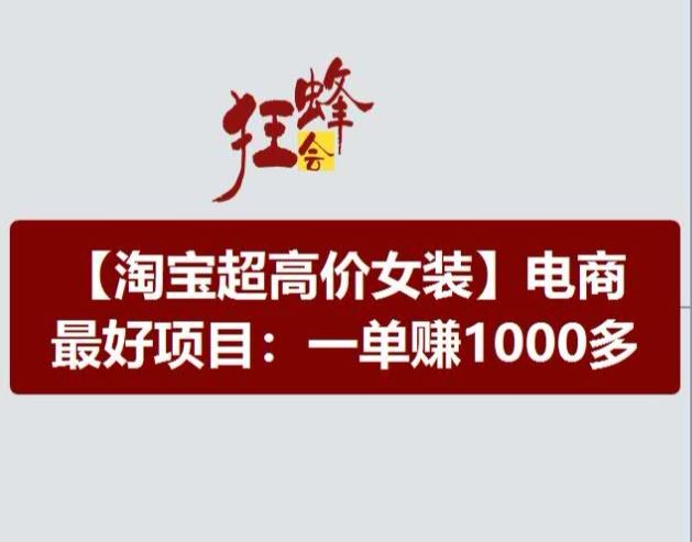 淘宝超高价女装项目，电商最好赛道，一单赚1000多-项目网站