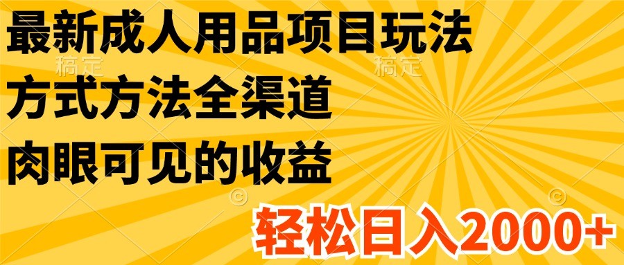 最新成人用品项目玩法，方式方法全渠道，肉眼可见的收益，轻松日入2000+-项目网站