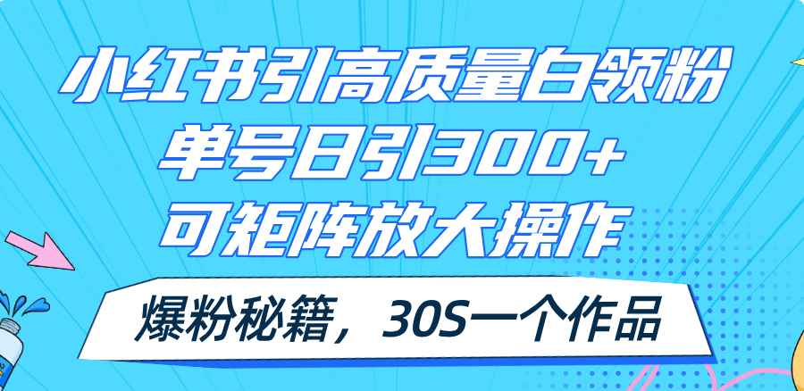 （11692期）小红书引高质量白领粉，单号日引300+，可放大操作，爆粉秘籍！30s一个作品-项目网站