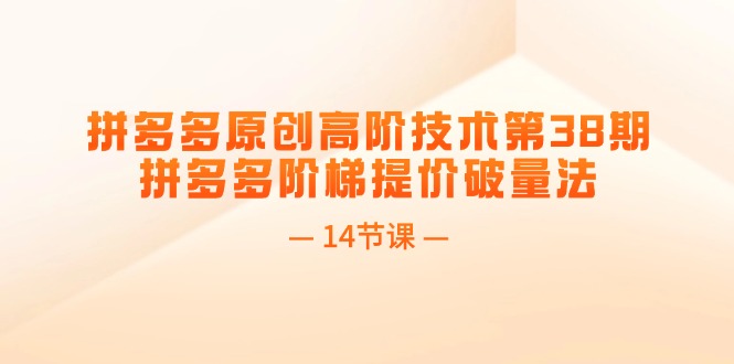 （11704期）拼多多原创高阶技术第38期，拼多多阶梯提价破量法（14节课）-项目网站