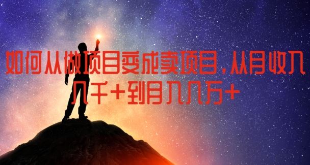 如何从做项目变成卖项目，从月收入几千到月入几万【揭秘】-项目网站
