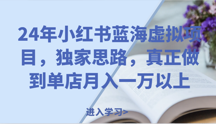 24年小红书蓝海虚拟项目，独家思路，真正做到单店月入一万以上。-项目网站