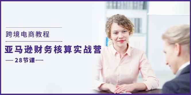 跨境电商教程：亚马逊财务核算实战营（28节课）-项目网站