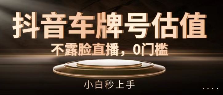 抖音车牌号估值，不露脸直播，0门槛，小白秒上手【揭秘】-项目网站