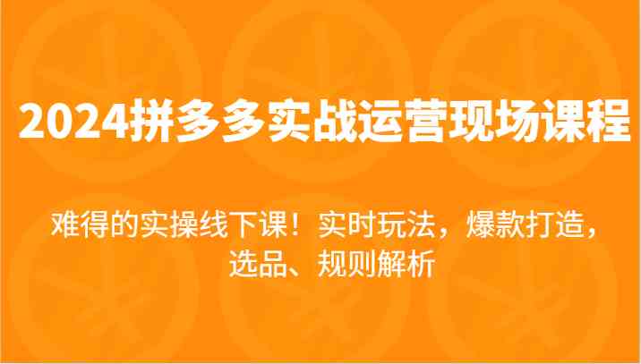 2024拼多多实战运营现场课，实时玩法，爆款打造，选品、规则解析，难得的实操线下课！-项目网站
