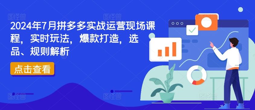 2024年7月拼多多实战运营现场课程，实时玩法，爆款打造，选品、规则解析-项目网站