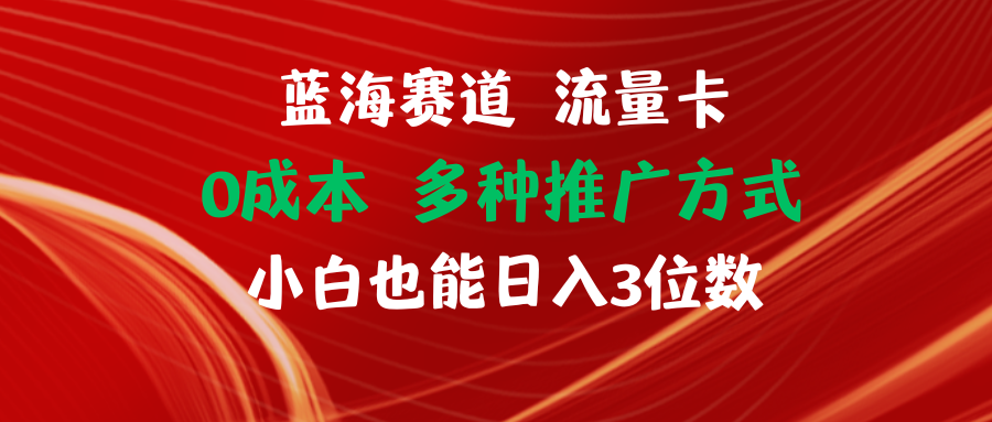（11768期）蓝海赛道 流量卡 0成本 小白也能日入三位数-项目网站
