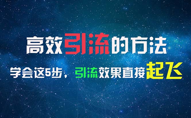 （11776期）高效引流的方法，可以帮助你日引300+创业粉，一年轻松收入30万，比打工强-项目网站