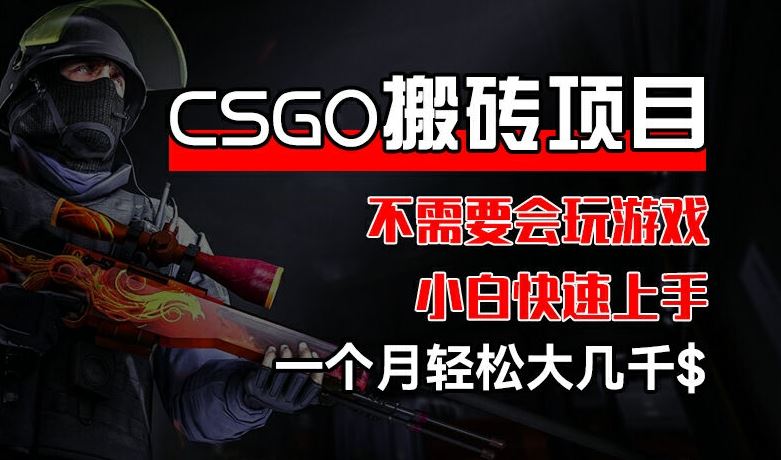CSGO 装备搬砖项目，操作简单，不需要会玩游戏，小白也能快速上手，一个月轻松大几千【揭秘】-项目网站