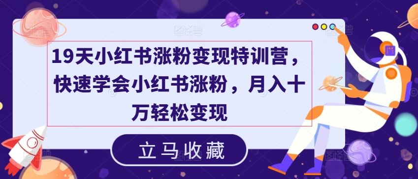 19天小红书涨粉变现特训营，快速学会小红书涨粉，月入十万轻松变现-项目网站
