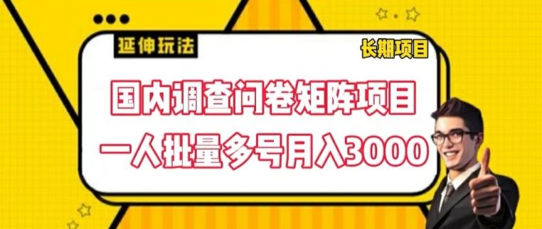国内调查问卷矩阵项目，一人批量多号月入3000【揭秘】-项目网站