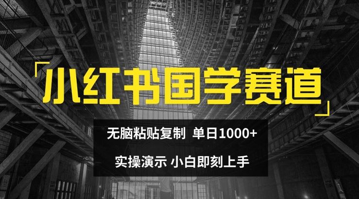 小红书国学赛道，无脑粘贴复制，单日1K，实操演示，小白即刻上手【揭秘】-项目网站