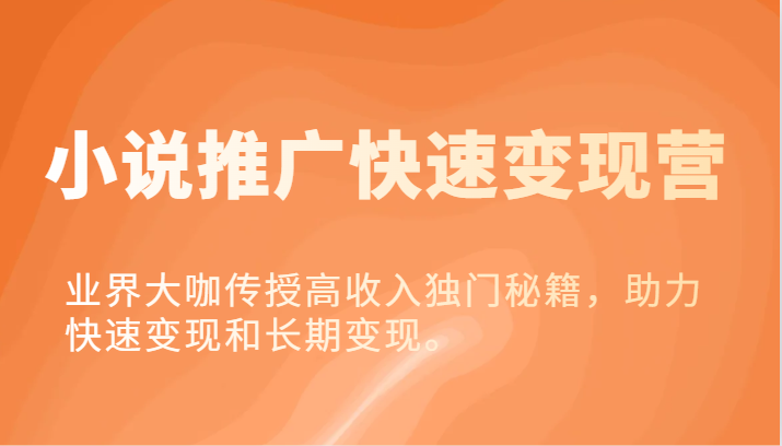 小说推广快速变现营-业界大咖传授高收入独门秘籍，助力快速变现和长期变现。-项目网站