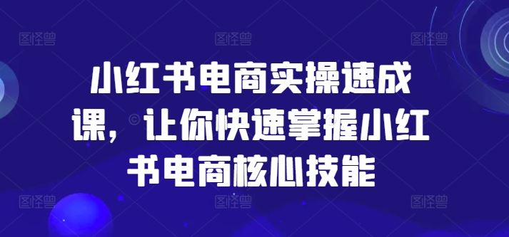 小红书电商实操速成课，让你快速掌握小红书电商核心技能-项目网站