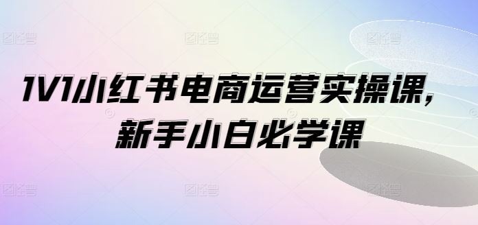 1V1小红书电商运营实操课，新手小白必学课-项目网站
