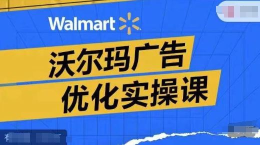 沃尔玛广告优化实操课，广告报告实操讲解，广告如何提高转化和ROAS等-项目网站
