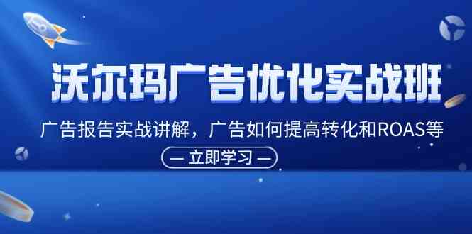 沃尔玛广告优化实战班，广告报告实战讲解，广告如何提高转化和ROAS等-项目网站