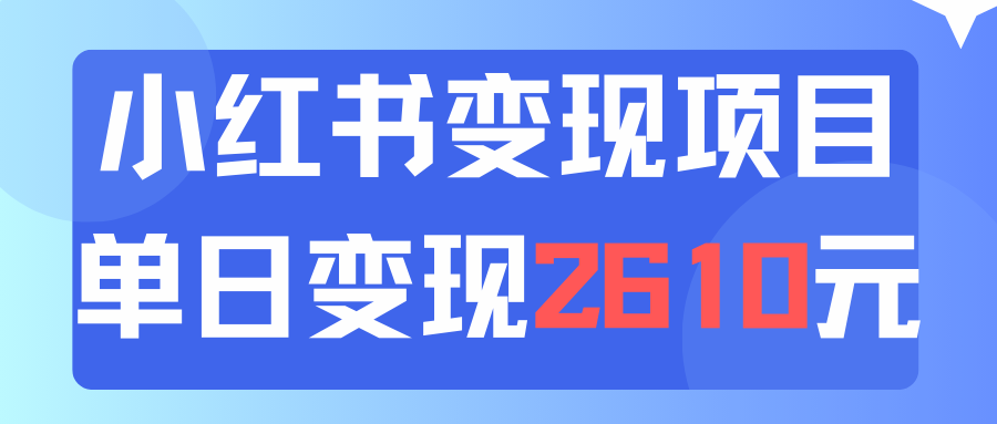 （11885期）利用小红书卖资料单日引流150人当日变现2610元小白可实操（教程+资料）-项目网站