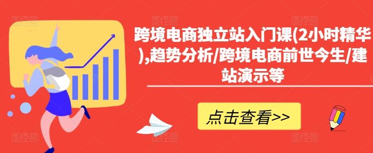 跨境电商独立站入门课(2小时精华),趋势分析/跨境电商前世今生/建站演示等-项目网站