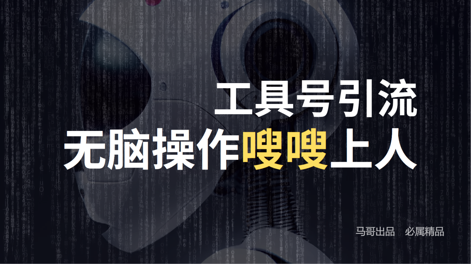 工具号高效引流法，嗖嗖上人，日引1000+，直接搬运，无脑操作-项目网站