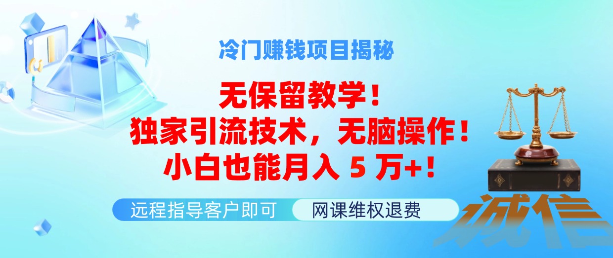 （11864期）冷门赚钱项目无保留教学！独家引流技术，无脑操作！小白也能月入5万+！-项目网站