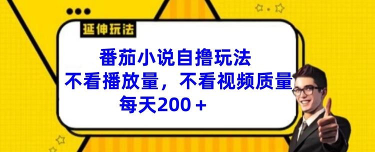 番茄小说自撸玩法，不看播放量，不看视频质量，每天200+【揭秘】-项目网站