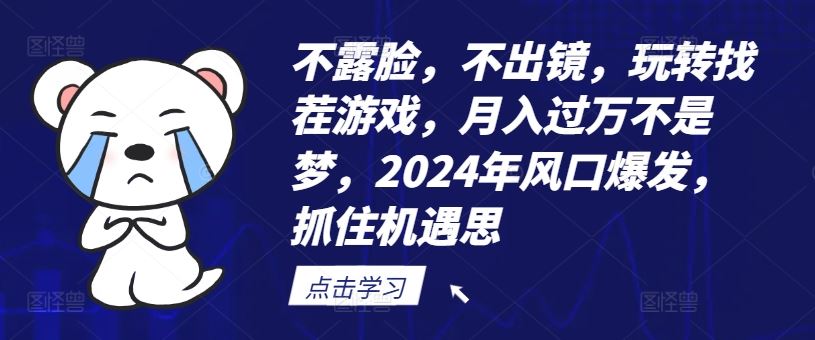 不露脸，不出镜，玩转找茬游戏，月入过万不是梦，2024年风口爆发，抓住机遇【揭秘】-项目网站