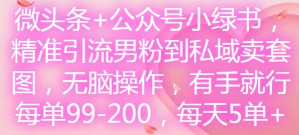 微头条+公众号小绿书，精准引流男粉到私域卖套图，无脑操作，有手就行，每单99-200，每天5单-项目网站