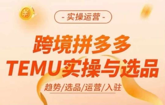 跨境拼多多TEMU实操与选品，多多temu跨境选品运营实操-项目网站