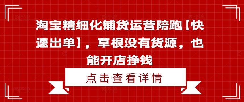 淘宝精细化铺货运营陪跑【快速出单】，草根没有货源，也能开店挣钱-项目网站