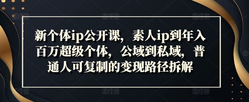 新个体ip公开课，素人ip到年入百万超级个体，公域到私域，普通人可复制的变现路径拆解-项目网站