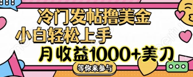 冷门发帖撸美金项目，月收益1000+美金，简单无脑，干就完了【揭秘】-项目网站