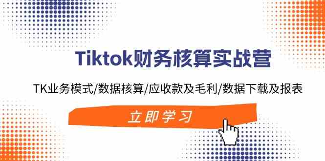 Tiktok财务核算实战营：TK业务模式/数据核算/应收款及毛利/数据下载及报表-项目网站