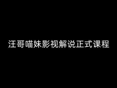 汪哥影视解说正式课程：剪映/PR教学/视解说剪辑5大黄金法则/全流程剪辑7把利器等等-项目网站