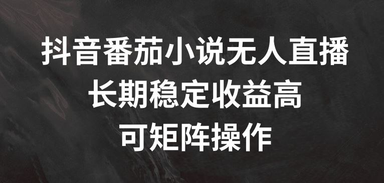 抖音番茄小说无人直播，长期稳定收益高，可矩阵操作【揭秘】-项目网站